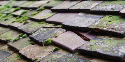 Talley roof repair costs
